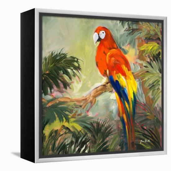 Parrots at Bay I-Jane Slivka-Framed Stretched Canvas