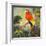 Parrots at Bay I-Jane Slivka-Framed Art Print