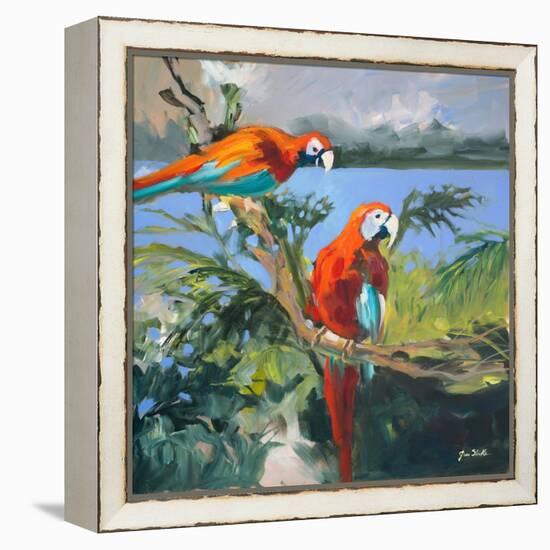 Parrots at Bay II-Jane Slivka-Framed Stretched Canvas