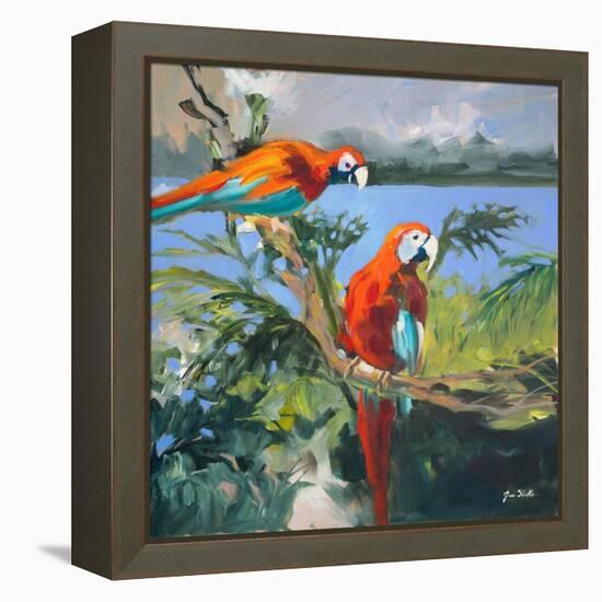 Parrots at Bay II-Jane Slivka-Framed Stretched Canvas