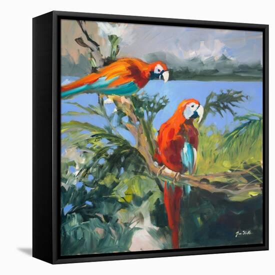 Parrots at Bay II-Jane Slivka-Framed Stretched Canvas