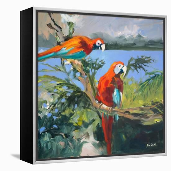 Parrots at Bay II-Jane Slivka-Framed Stretched Canvas