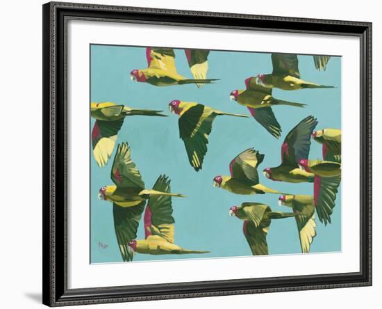 Parrots in Flight - Retro-Pete Hawkins-Framed Giclee Print