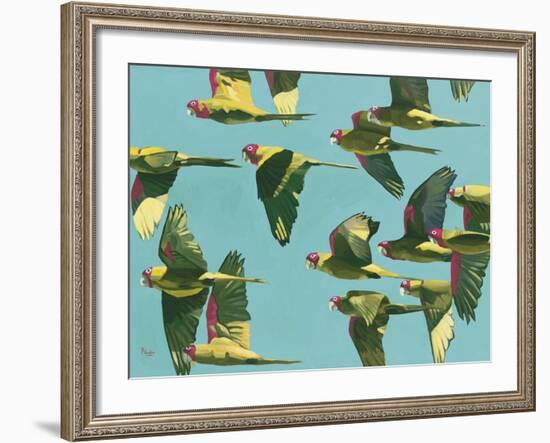 Parrots in Flight - Retro-Pete Hawkins-Framed Giclee Print