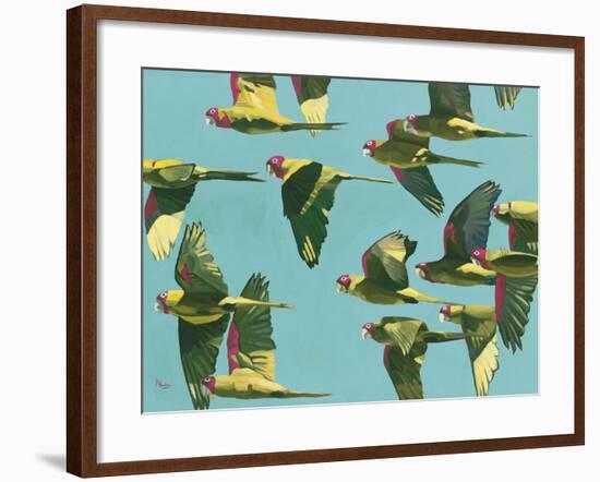 Parrots in Flight - Retro-Pete Hawkins-Framed Giclee Print