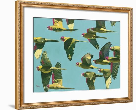 Parrots in Flight - Retro-Pete Hawkins-Framed Giclee Print