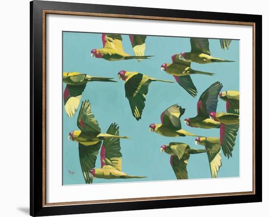 Parrots in Flight - Retro-Pete Hawkins-Framed Giclee Print