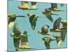 Parrots in Flight - Retro-Pete Hawkins-Mounted Giclee Print
