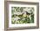 Parrots Nostalgic Journey 2-Andrea Haase-Framed Photographic Print