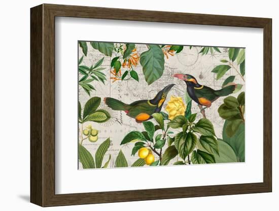 Parrots Nostalgic Journey 2-Andrea Haase-Framed Photographic Print