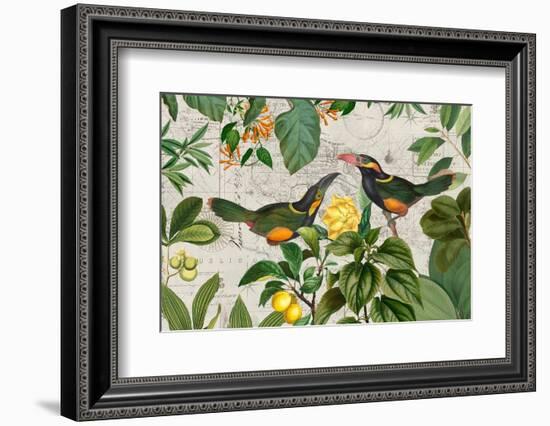 Parrots Nostalgic Journey 2-Andrea Haase-Framed Photographic Print