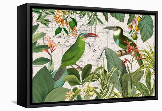 Parrots Nostalgic Journey 3-Andrea Haase-Framed Premier Image Canvas