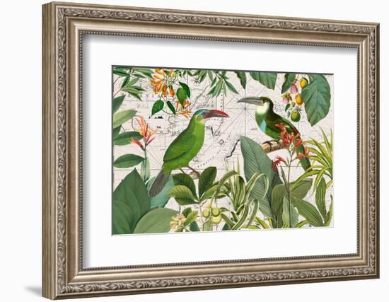 Parrots Nostalgic Journey 3-Andrea Haase-Framed Photographic Print