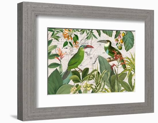 Parrots Nostalgic Journey 3-Andrea Haase-Framed Photographic Print