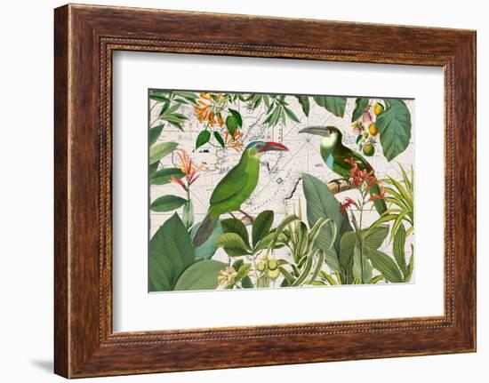 Parrots Nostalgic Journey 3-Andrea Haase-Framed Photographic Print