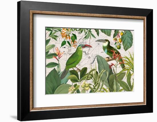 Parrots Nostalgic Journey 3-Andrea Haase-Framed Photographic Print