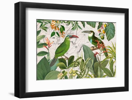 Parrots Nostalgic Journey 3-Andrea Haase-Framed Photographic Print