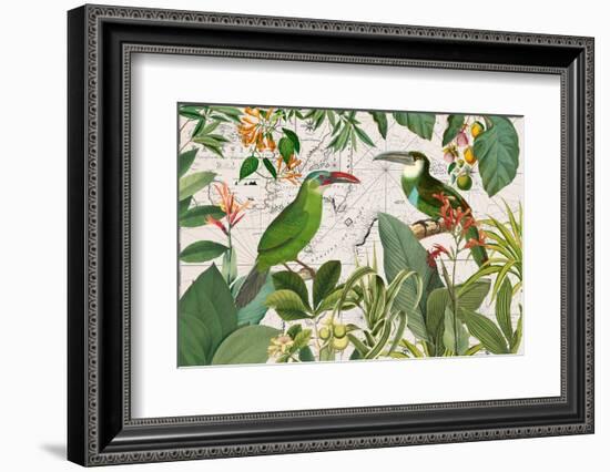 Parrots Nostalgic Journey 3-Andrea Haase-Framed Photographic Print