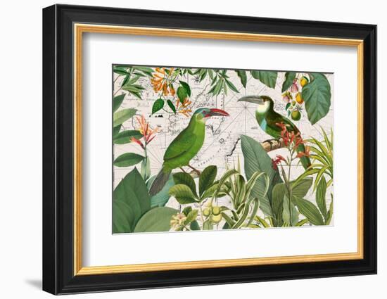 Parrots Nostalgic Journey 3-Andrea Haase-Framed Photographic Print