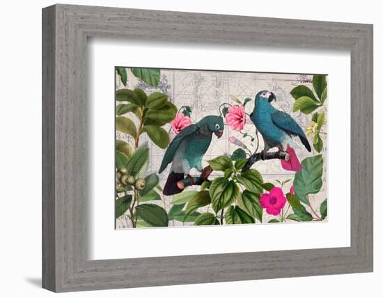 Parrots Nostalgic Journey Kopie-Andrea Haase-Framed Photographic Print