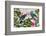 Parrots Nostalgic Journey Kopie-Andrea Haase-Framed Photographic Print