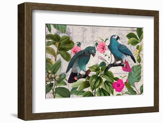 Parrots Nostalgic Journey Kopie-Andrea Haase-Framed Photographic Print