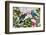 Parrots Nostalgic Journey Kopie-Andrea Haase-Framed Photographic Print