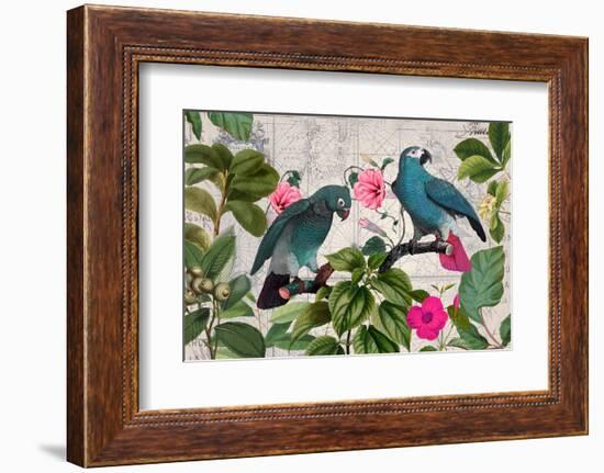 Parrots Nostalgic Journey Kopie-Andrea Haase-Framed Photographic Print