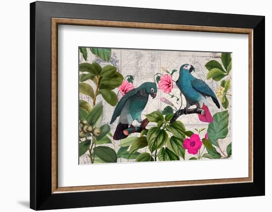 Parrots Nostalgic Journey Kopie-Andrea Haase-Framed Photographic Print