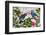 Parrots Nostalgic Journey Kopie-Andrea Haase-Framed Photographic Print