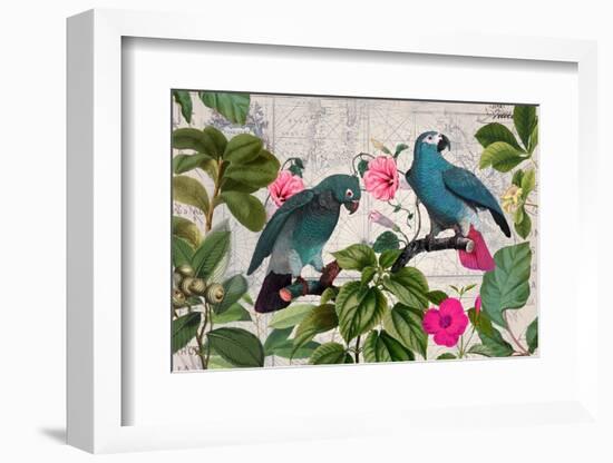 Parrots Nostalgic Journey Kopie-Andrea Haase-Framed Photographic Print