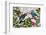 Parrots Nostalgic Journey Kopie-Andrea Haase-Framed Photographic Print