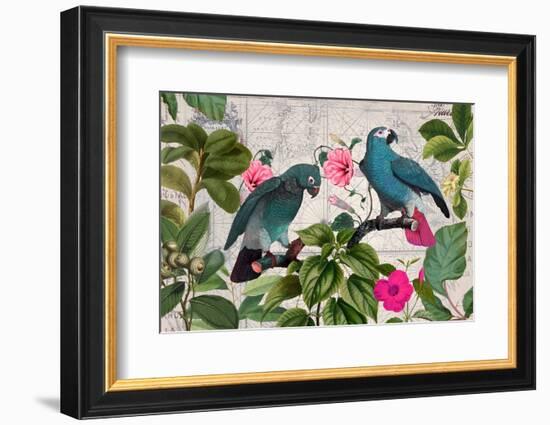 Parrots Nostalgic Journey Kopie-Andrea Haase-Framed Photographic Print