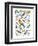 Parrots-null-Framed Premium Giclee Print