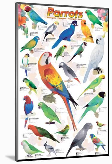 Parrots-null-Mounted Art Print