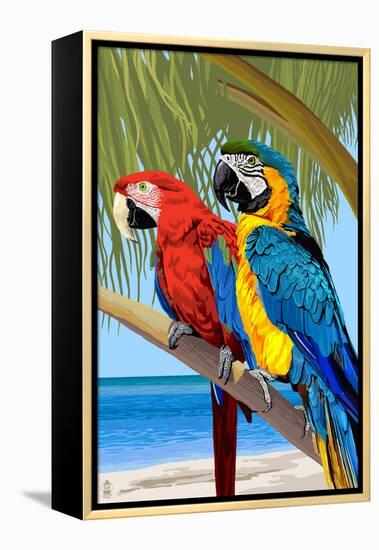 Parrots-Lantern Press-Framed Stretched Canvas