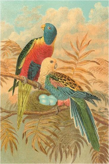 Art Print, , large
