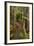 Parry Kauri Park, Auckland Region, North Island, New Zealand-David Wall-Framed Photographic Print