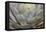 Parry's agave or mescal agave.-Mallorie Ostrowitz-Framed Premier Image Canvas