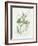 Parsley and Sage-Elissa Della-piana-Framed Art Print