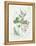 Parsley and Sage-Elissa Della-piana-Framed Stretched Canvas