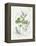 Parsley and Sage-Elissa Della-piana-Framed Stretched Canvas