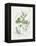 Parsley and Sage-Elissa Della-piana-Framed Stretched Canvas