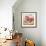 Parsley Bunny's House-Judy Mastrangelo-Framed Giclee Print displayed on a wall