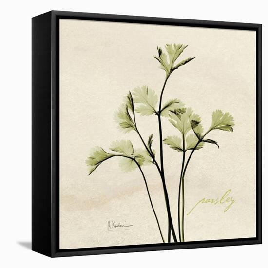 Parsley Moment-Albert Koetsier-Framed Stretched Canvas