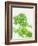 Parsley-Friedrich Strauss-Framed Photographic Print