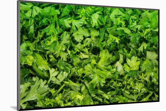 Parsley-Steve Gadomski-Mounted Photographic Print