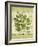 Parsley-Kate Ward Thacker-Framed Giclee Print