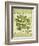 Parsley-Kate Ward Thacker-Framed Giclee Print