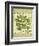 Parsley-Kate Ward Thacker-Framed Giclee Print